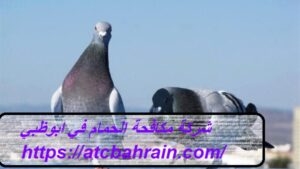 [صورة: %D8%B4%D8%B1%D9%83%D8%A9-%D9%85%D9%83%D8...00x169.jpg]