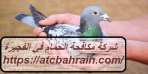 [صورة: %D8%B4%D8%B1%D9%83%D8%A9-%D9%85%D9%83%D8...00x150.jpg]