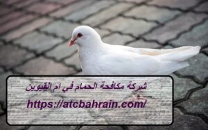 [صورة: %D8%B4%D8%B1%D9%83%D8%A9-%D9%85%D9%83%D8...00x188.jpg]