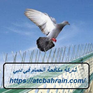 [صورة: %D8%B4%D8%B1%D9%83%D8%A9-%D9%85%D9%83%D8...00x300.jpg]