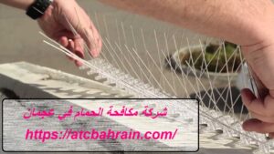 [صورة: %D8%B4%D8%B1%D9%83%D8%A9-%D9%85%D9%83%D8...00x169.jpg]