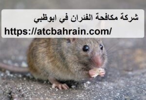 [صورة: %D8%B4%D8%B1%D9%83%D8%A9-%D9%85%D9%83%D8...00x206.jpg]