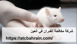 [صورة: %D8%B4%D8%B1%D9%83%D8%A9-%D9%85%D9%83%D8...00x173.png]