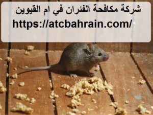 [صورة: %D8%B4%D8%B1%D9%83%D8%A9-%D9%85%D9%83%D8...00x225.jpg]