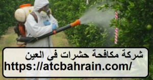 شركة مكافحة حشرات في العين