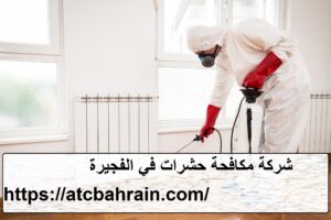 شركة مكافحة حشرات في الفجيرة