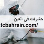 شركة رش حشرات في العين