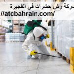 شركة رش حشرات في الفجيرة