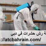 شركة رش حشرات في دبي