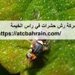 شركة رش حشرات في راس الخيمة