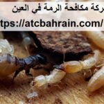 شركة مكافحة الرمة في العين