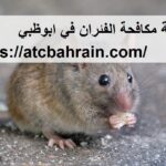 شركة مكافحة الفئران في ابوظبي