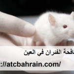 شركة مكافحة الفئران في العين