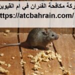 شركة مكافحة الفئران في ام القيوين