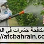 شركة مكافحة حشرات في العين