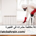 شركة مكافحة حشرات في الفجيرة