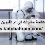 شركة مكافحة حشرات في ام القيوين