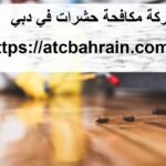 شركة مكافحة حشرات في دبي