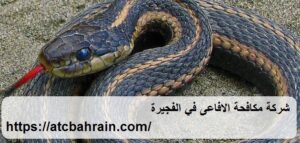 [صورة: %D8%B4%D8%B1%D9%83%D8%A9-%D9%85%D9%83%D8...00x143.jpg]