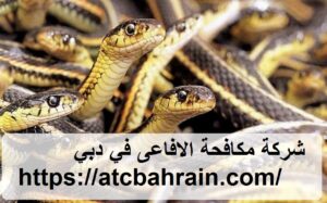 [صورة: %D8%B4%D8%B1%D9%83%D8%A9-%D9%85%D9%83%D8...00x187.jpg]