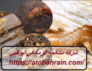 شركة مكافحة الرمة في ابوظبي