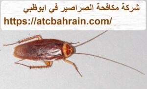 [صورة: %D8%B4%D8%B1%D9%83%D8%A9-%D9%85%D9%83%D8...00x182.jpg]