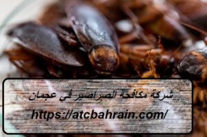 [صورة: %D8%B4%D8%B1%D9%83%D8%A9-%D9%85%D9%83%D8...00x199.jpg]