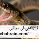 شركة مكافحة الافاعى في ابوظبي