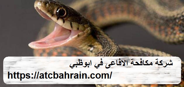 شركة مكافحة الافاعى في ابوظبي