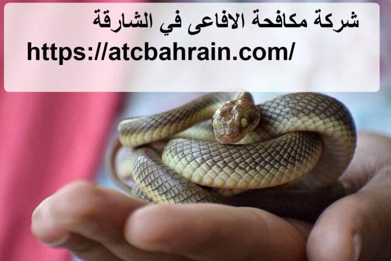 شركة مكافحة الافاعى في الشارقة