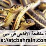 شركة مكافحة الافاعى في دبي