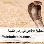 شركة مكافحة الافاعى في راس الخيمة