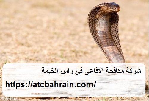 شركة مكافحة الافاعى في راس الخيمة