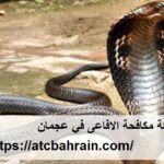 شركة مكافحة الافاعى في عجمان