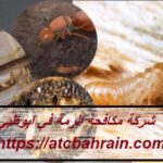شركة مكافحة الرمة في ابوظبي