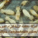 شركة مكافحة الرمة في ام القيوين