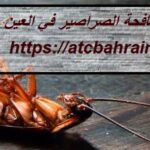 شركة مكافحة الصراصير في العين