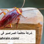شركة مكافحة الصراصير في الفجيرة