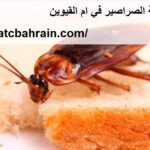 شركة مكافحة الصراصير في ام القيوين