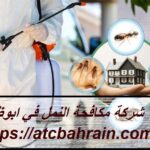 شركة مكافحة النمل في ابوظبي