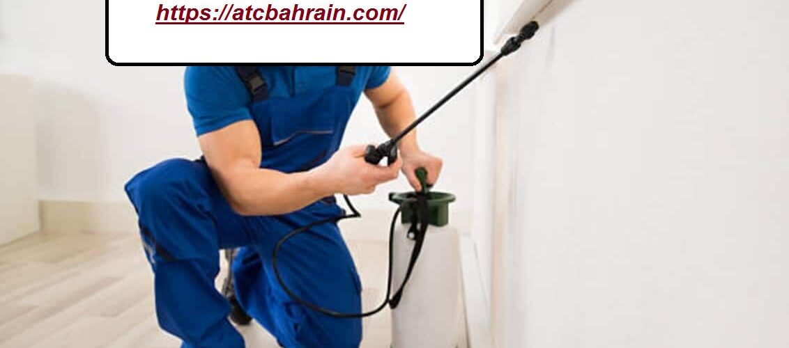 شركة مكافحة حشرات في الذيد