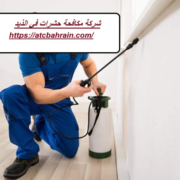 شركة مكافحة حشرات في الذيد شركة مكافحة حشرات في الذيد