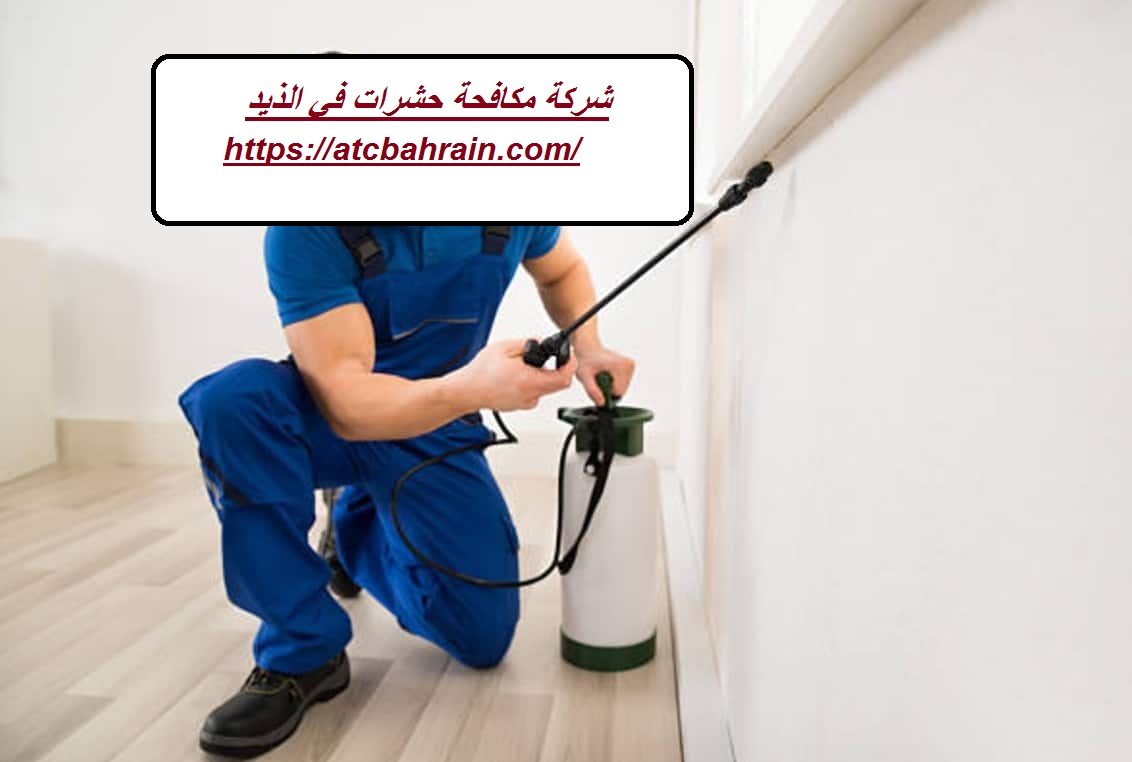 شركة مكافحة حشرات في الذيد