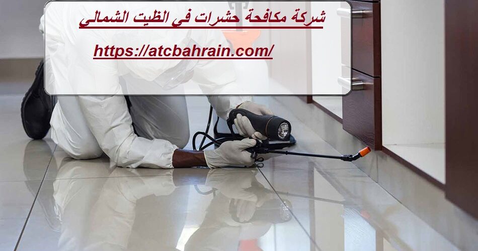 شركة مكافحة حشرات في الظيت الشمالي