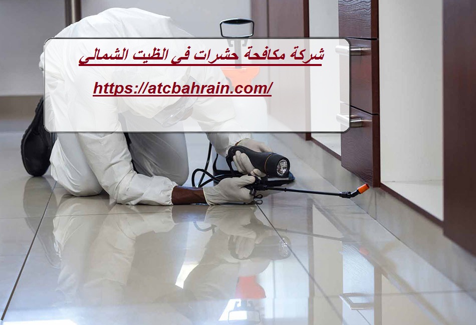 شركة مكافحة حشرات في الظيت الشمالي