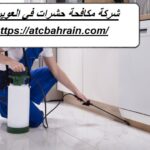 شركة مكافحة حشرات في العوير