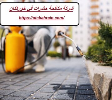 شركة مكافحة حشرات في خورفكان