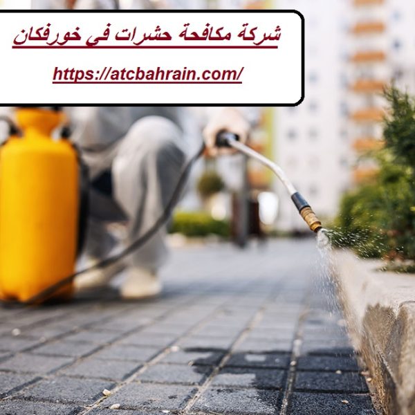 شركة مكافحة حشرات في خورفكان شركة مكافحة حشرات في خورفكان