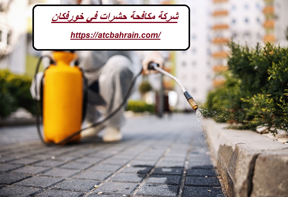 شركة مكافحة حشرات في خورفكان