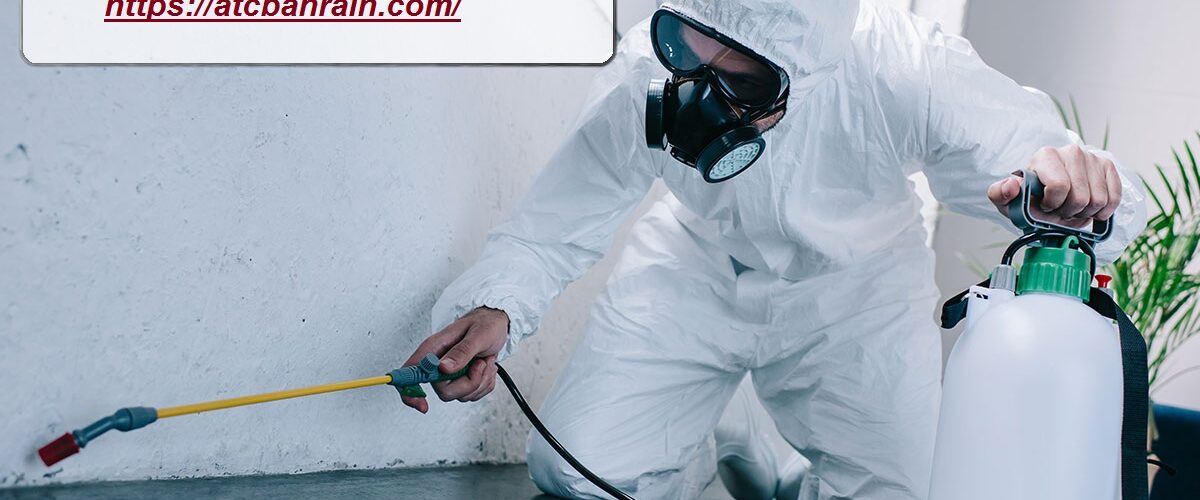 شركة مكافحة حشرات في دبا الحصن